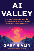 book cover for AI Valley