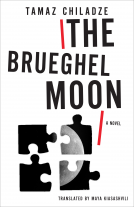 book cover for Brueghel Moon