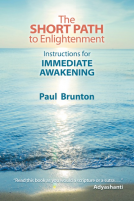 book cover for The Short Path to Enlightenment