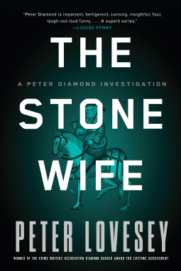 book cover for The Stone Wife