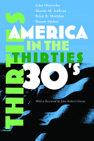 book cover for America in the Thirties