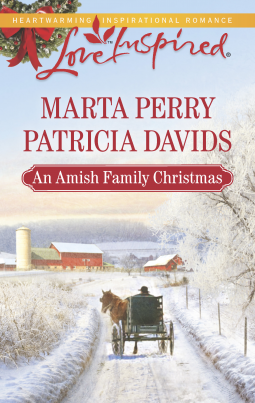 book cover for An Amish Family Christmas