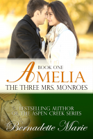 book cover for Amelia