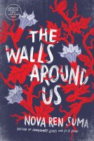 book cover for The Walls Around Us