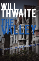 book cover for The Valley