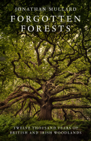 book cover for Forgotten Forests