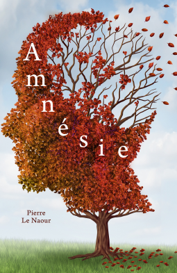 Couverture du livre pour Amnésie