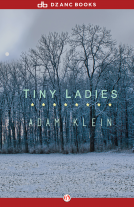 book cover for Tiny Ladies
