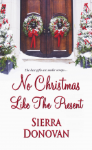 book cover for No Christmas Like the Present
