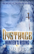 book cover for Dystance Winter's Rising
