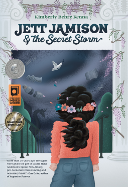 book cover for Jett Jamison and the Secret Storm
