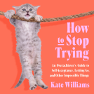 book cover for How to Stop Trying