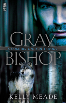 book cover for Gray Bishop