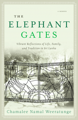book cover for The Elephant Gates