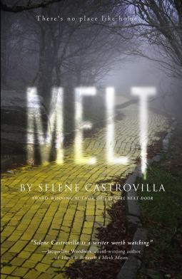 book cover for MELT