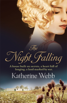 book cover for The Night Falling