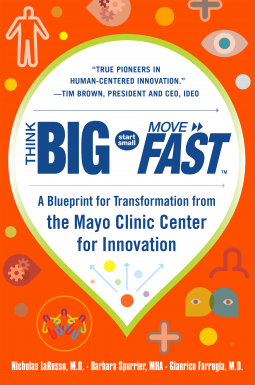 book cover for Think Big, Start Small, Move Fast