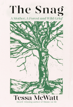 book cover for The Snag