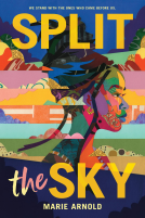book cover for Split the Sky