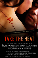 book cover for Take the Heat