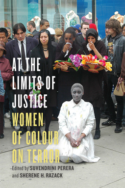 book cover for At The Limits of Justice