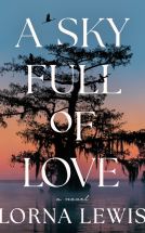 book cover for A Sky Full of Love