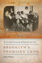 book cover for Brooklyn's Promised Land