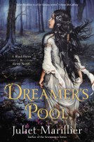 book cover for Dreamer's Pool