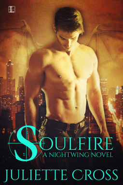 book cover for Soulfire