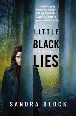 book cover for Little Black Lies