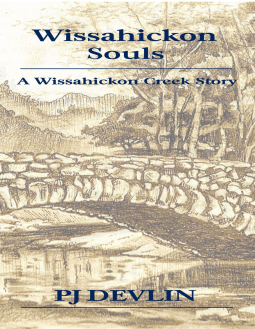 book cover for Wissahickon Souls