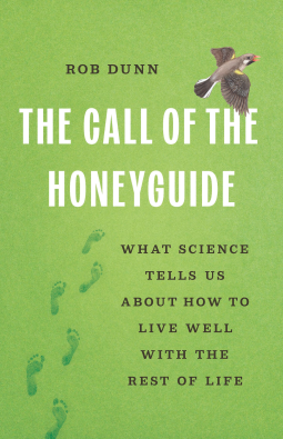 book cover for The Call of the Honeyguide