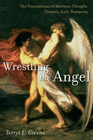 book cover for Wrestling the Angel