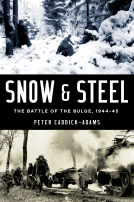 book cover for Snow and Steel