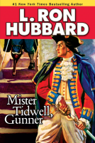 book cover for Mister Tidwell Gunner