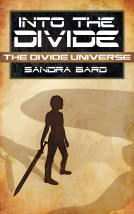 book cover for Into the Divide