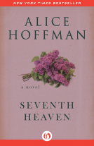 book cover for Seventh Heaven