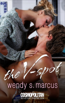 book cover for The V-Spot