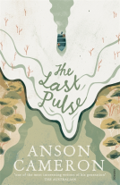 book cover for The Last Pulse