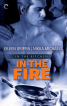 book cover for In the Fire