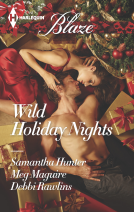 book cover for Wild Holiday Nights