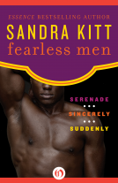 book cover for Fearless Men