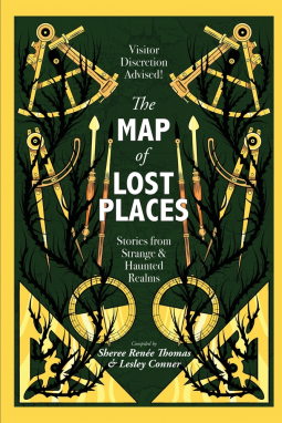 book cover for The Map of Lost Places