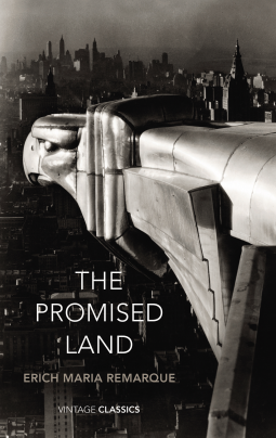 book cover for The Promised Land
