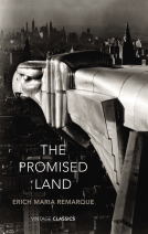 book cover for The Promised Land
