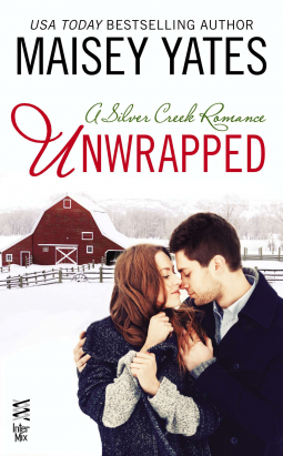 book cover for Unwrapped