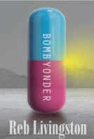 book cover for Bombyonder