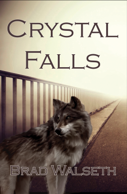 book cover for Crystal Falls