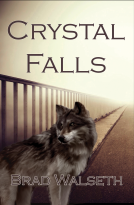 book cover for Crystal Falls