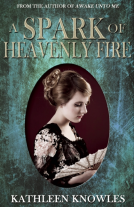 book cover for A Spark of Heavenly Fire